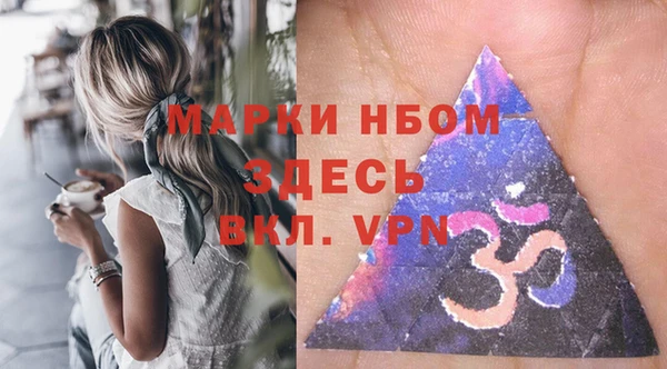 шишки Балахна
