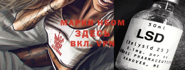 индика Баксан