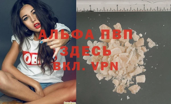 индика Баксан