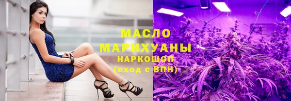 индика Баксан