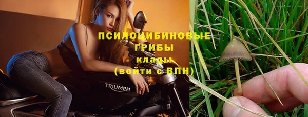 шишки Балахна