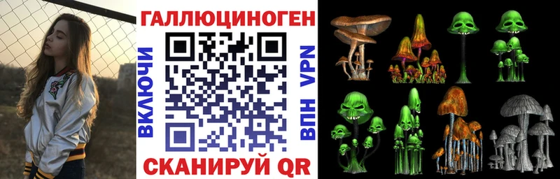 продажа наркотиков  Кстово  Псилоцибиновые грибы Magic Shrooms 